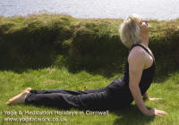 Bhujangasana Cobra Yoga Posture