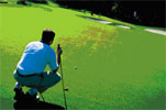 yoga for golf